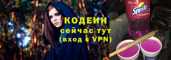 apvp Кодинск