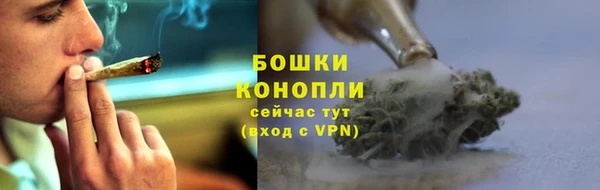 каннабис Корсаков