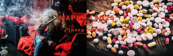 ECSTASY Коряжма